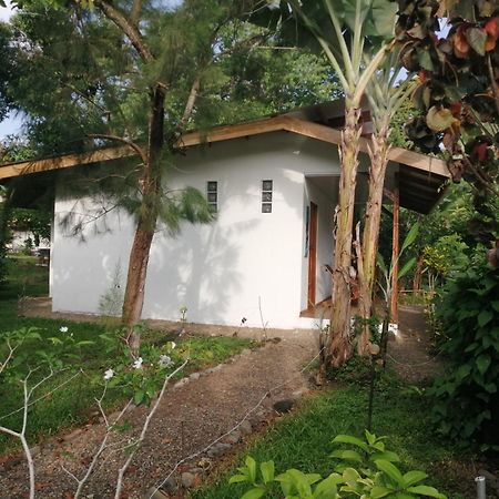 Cabinas Los Tucanes Cahuita Ngoại thất bức ảnh