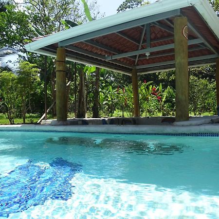 Cabinas Los Tucanes Cahuita Ngoại thất bức ảnh