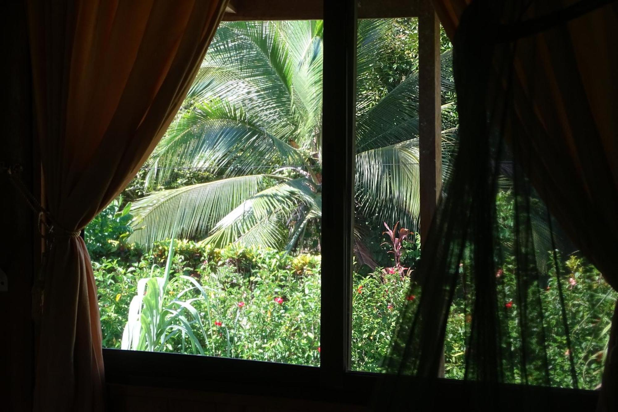 Cabinas Los Tucanes Cahuita Ngoại thất bức ảnh