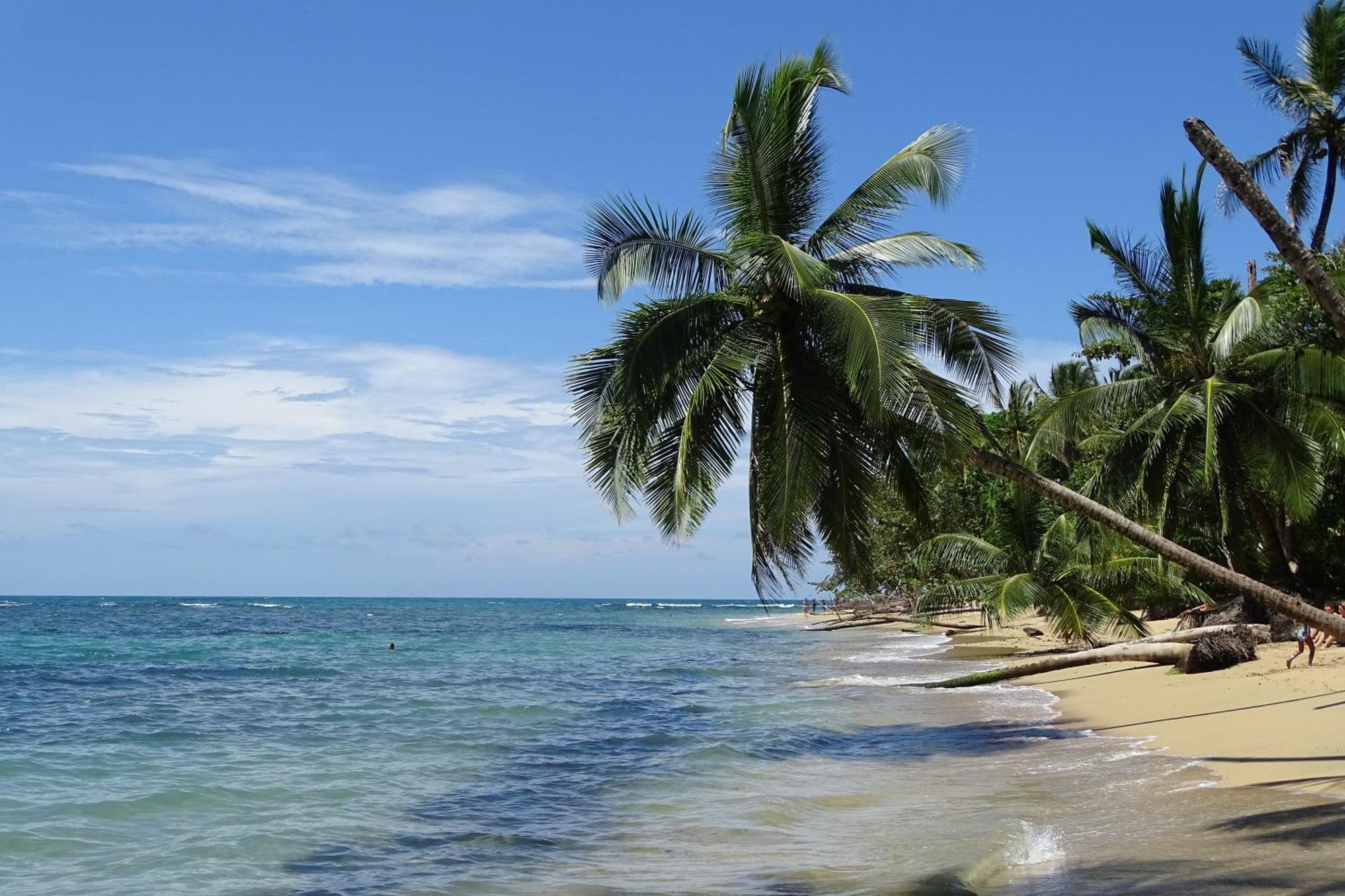 Cabinas Los Tucanes Cahuita Ngoại thất bức ảnh