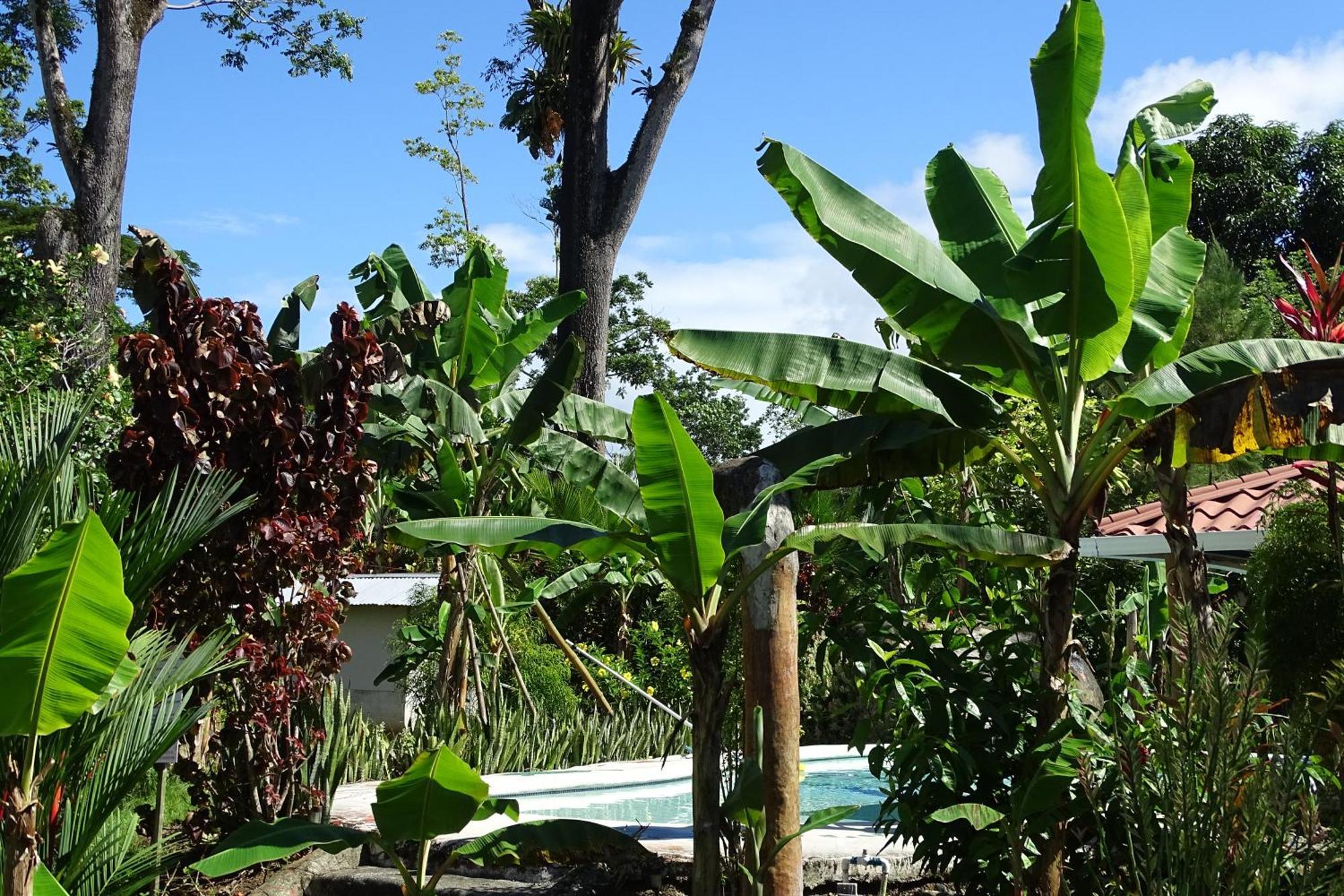 Cabinas Los Tucanes Cahuita Ngoại thất bức ảnh