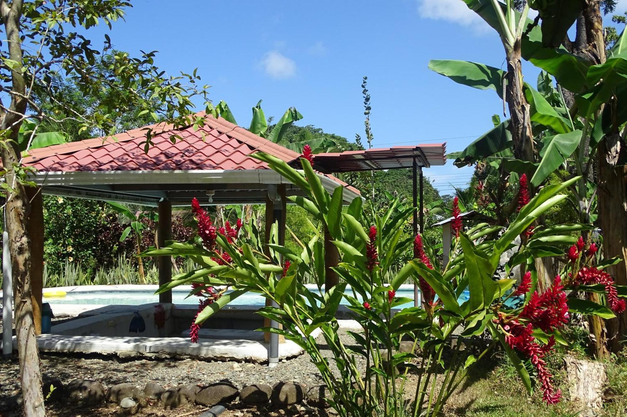 Cabinas Los Tucanes Cahuita Ngoại thất bức ảnh