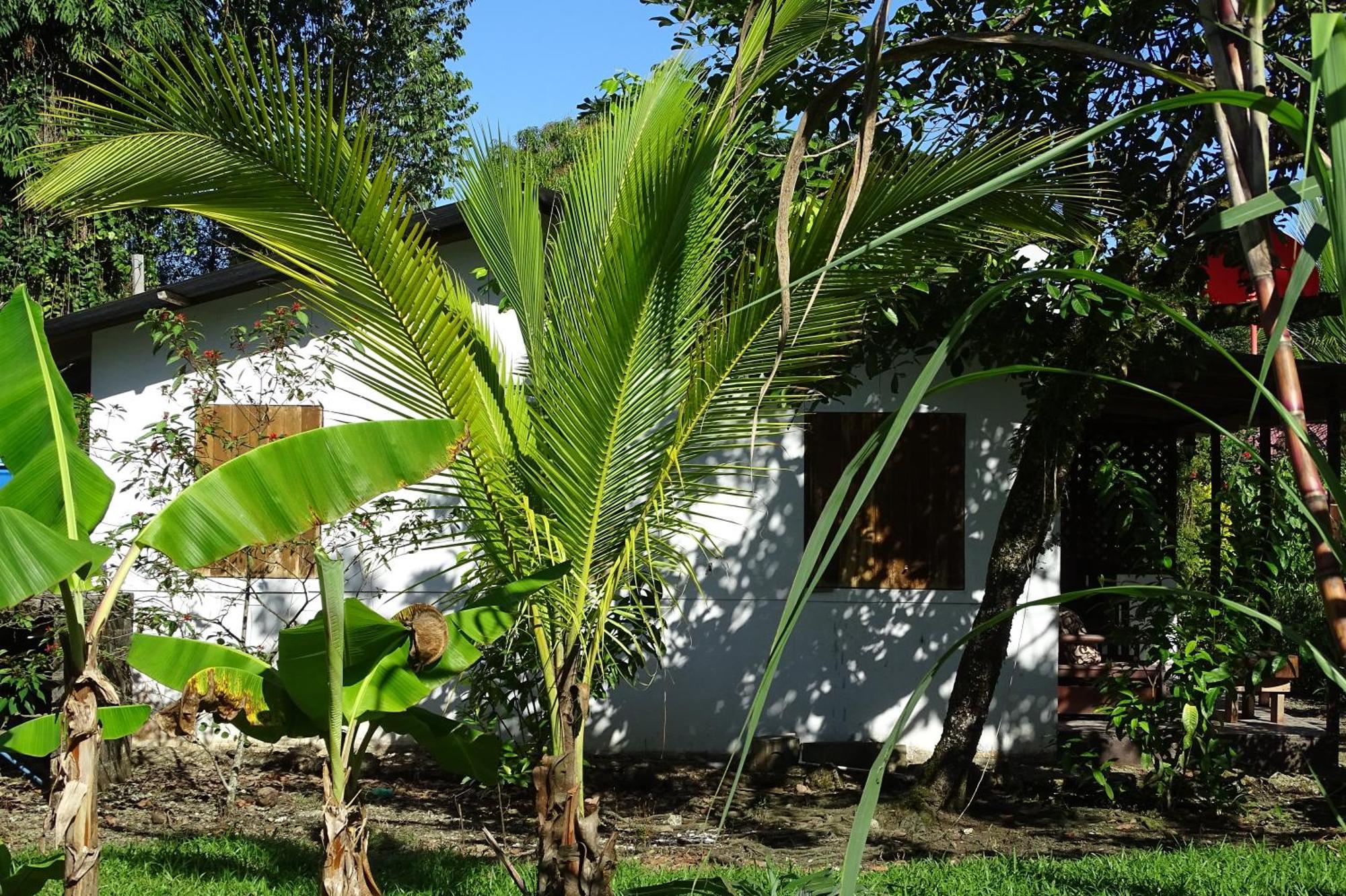 Cabinas Los Tucanes Cahuita Ngoại thất bức ảnh