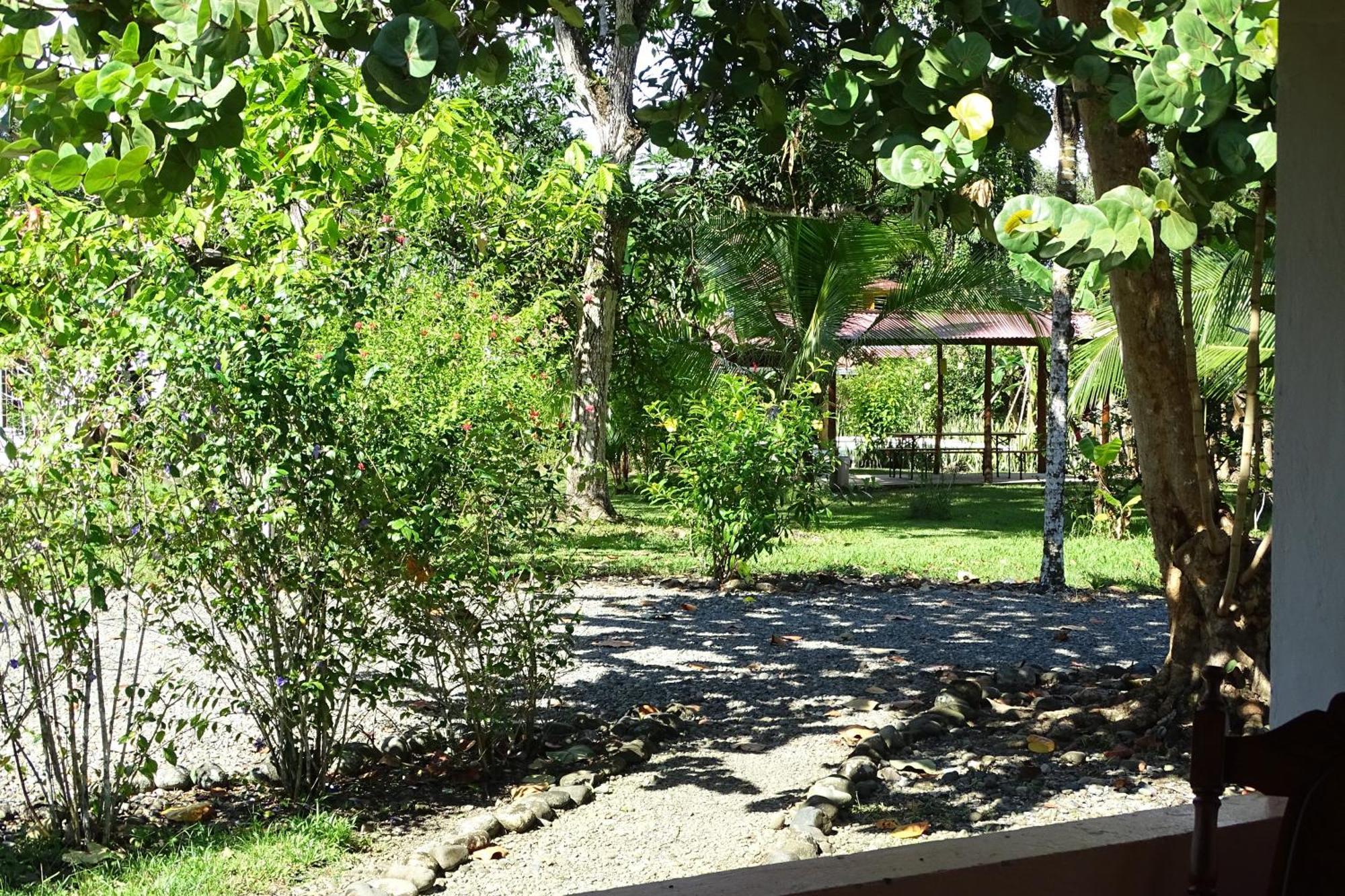 Cabinas Los Tucanes Cahuita Phòng bức ảnh
