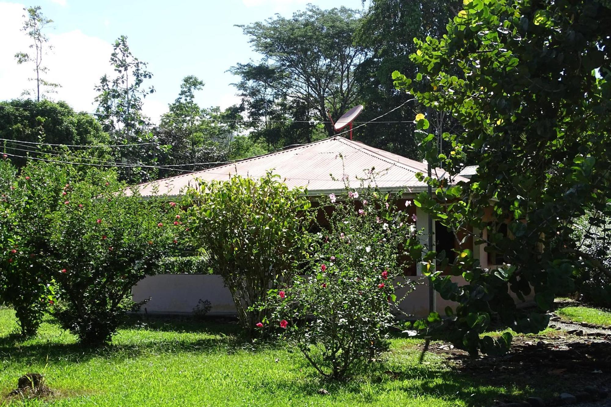 Cabinas Los Tucanes Cahuita Ngoại thất bức ảnh