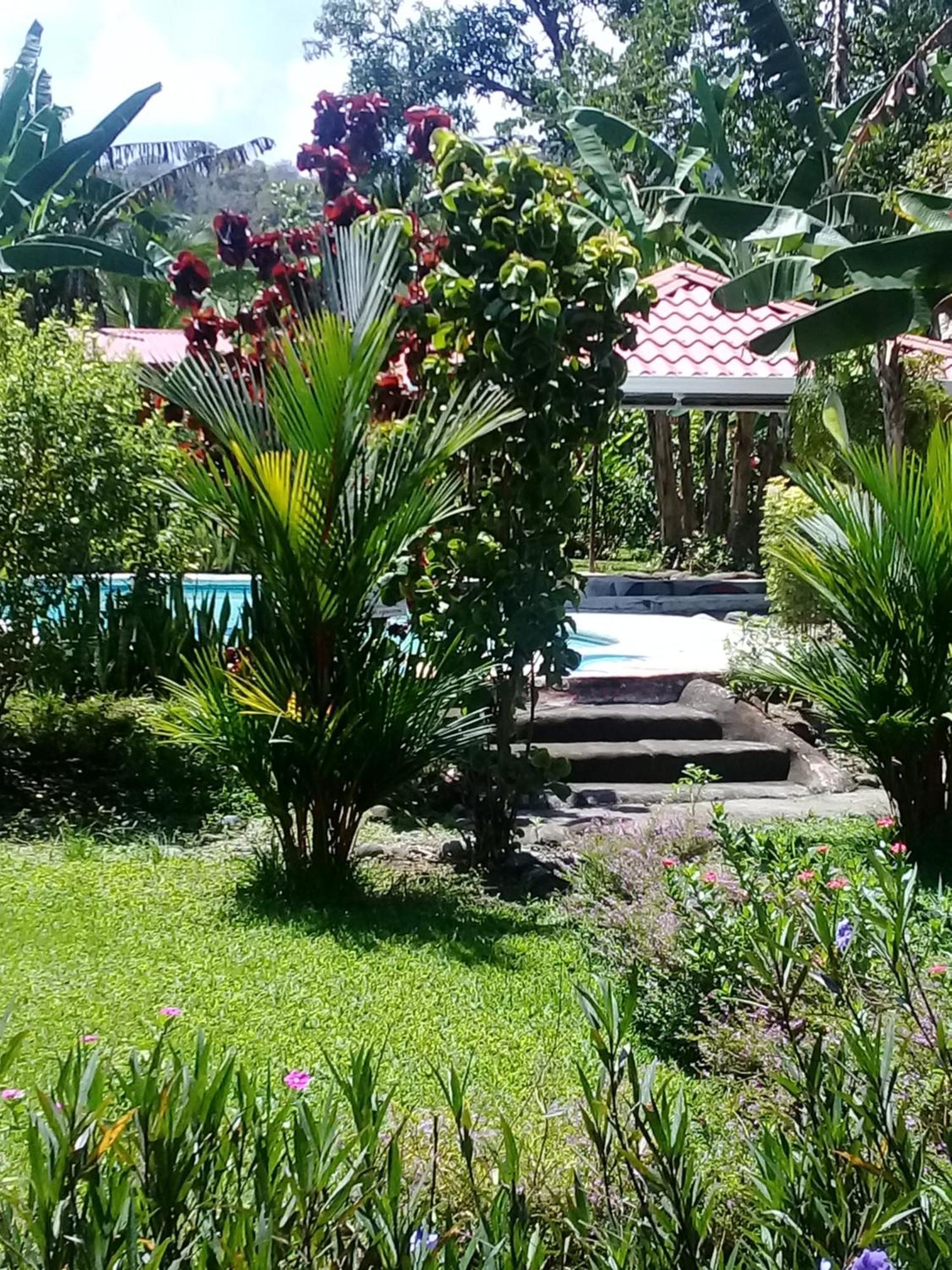 Cabinas Los Tucanes Cahuita Ngoại thất bức ảnh