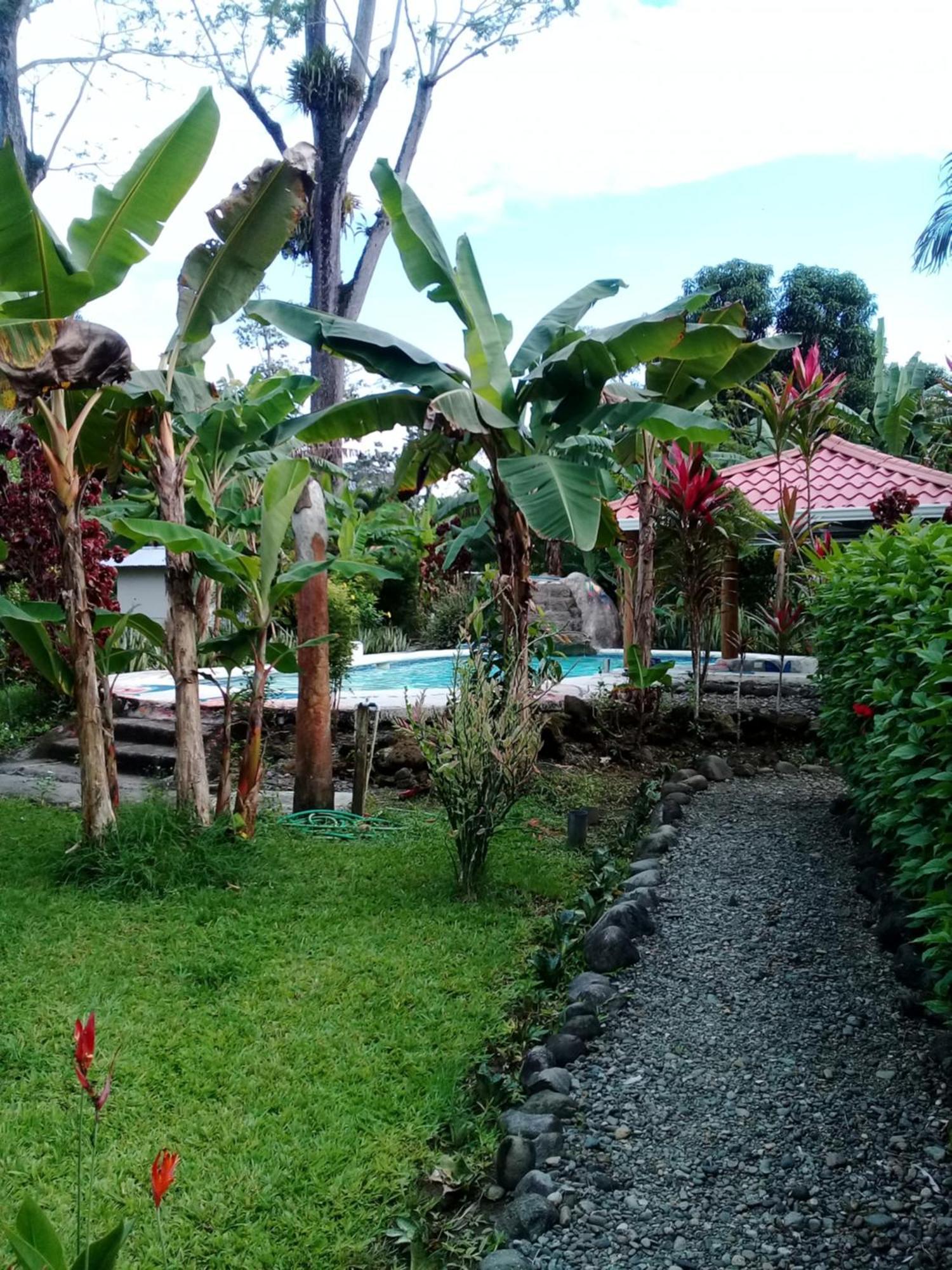Cabinas Los Tucanes Cahuita Ngoại thất bức ảnh