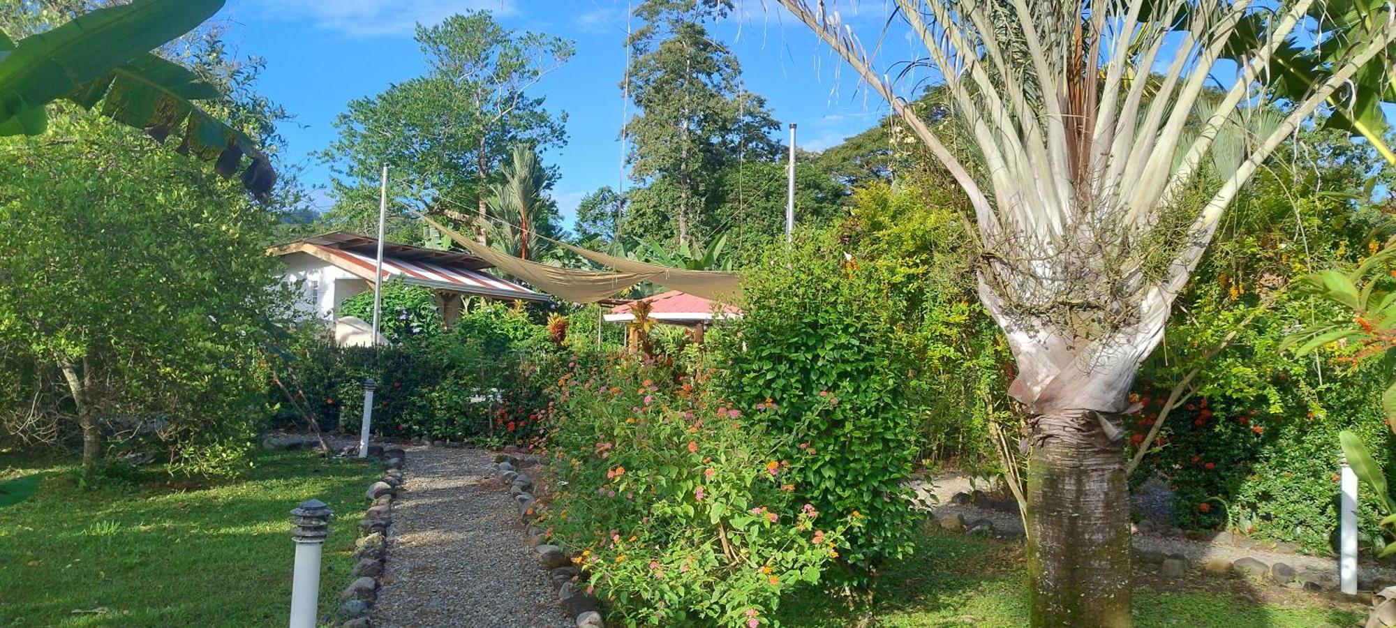 Cabinas Los Tucanes Cahuita Ngoại thất bức ảnh